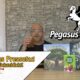 Pegasus Pressetag digital – Die Spielfritte fasst zusammen
